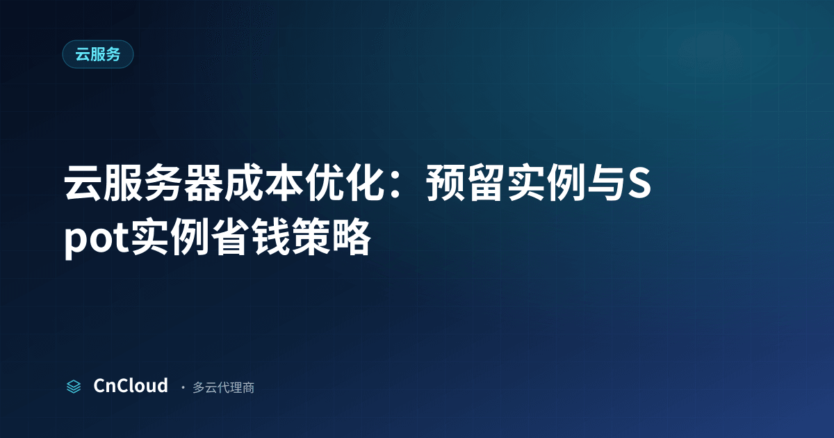 云服务器成本优化：费用构成与省钱关键，CnCloud（云服务）示意图 - CnCloud 多云代理